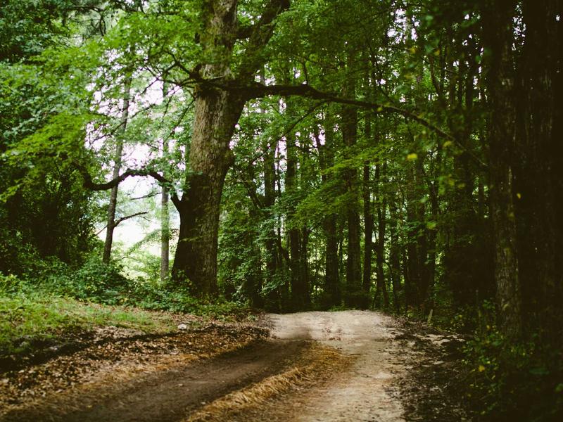 sudoku pattern learning screenshot 2