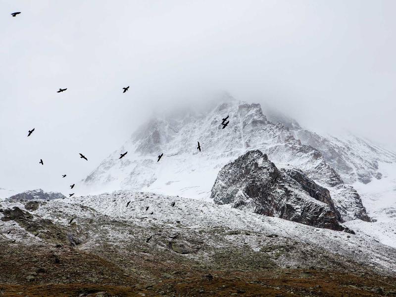 mini sudoku screenshot 4